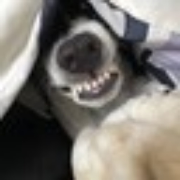 ALL PRICES NEGOTIABLE - Picture 3 of 13